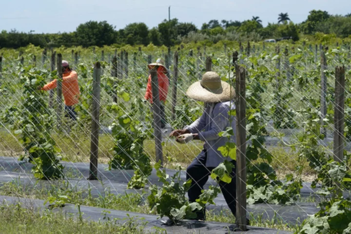 Uncertain and afraid: Florida’s immigrants grapple with a disrupted reality under new law