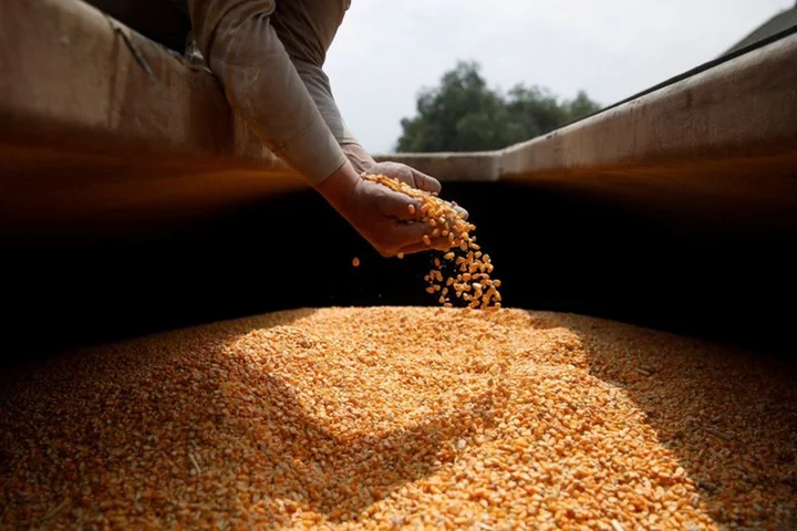 US escalates dispute with Mexico over GM corn, after formal consultations fail