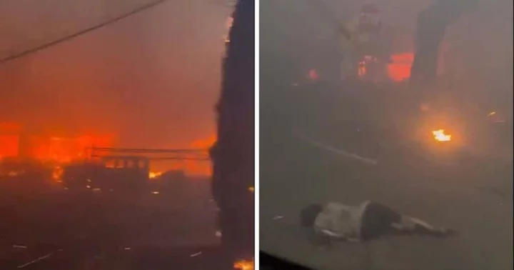 Hawaii wildfires: Harrowing video of residents fleeing in car leaving woman on road splits Internet