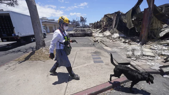 In deadly Maui fires, many had no warning and no way out. Those who dodged barricades survived