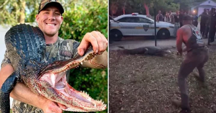 'I felt like Batman!' Florida MMA fighter Mike Dragich battles 10-foot alligator near elementary school