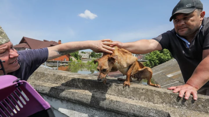 Ukraine dam: Dislodged mines a major concern as residents flee Kherson