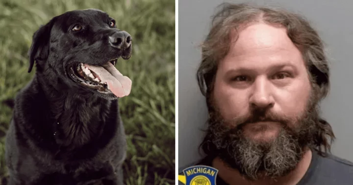 Who is Thomas Middaugh? Michigan man gets 60 days in prison for fatally shooting and dismembering neighbor's dog