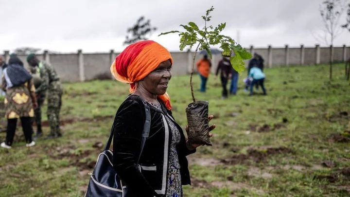 Kenya's President Ruto one of four Africans on Time climate leaders list