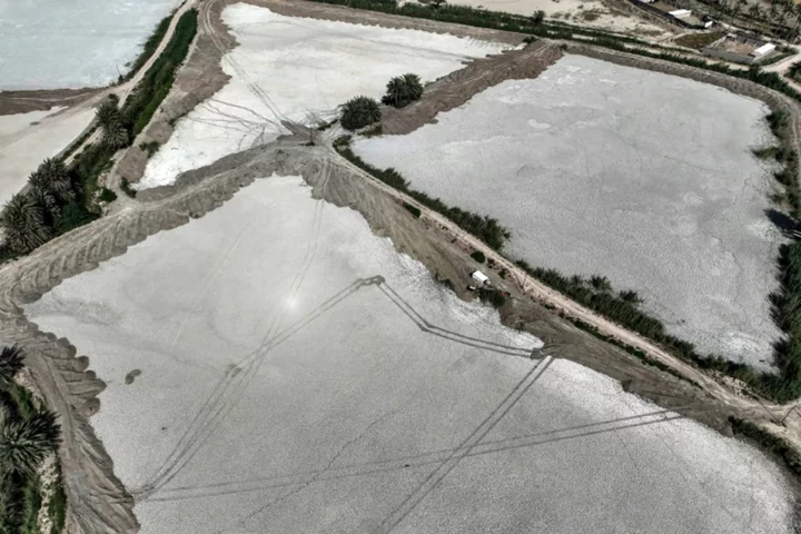 Water-stressed Iraq dries up fish farms