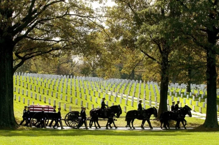 After Arlington National Cemetery horse deaths, Army makes changes to improve their care