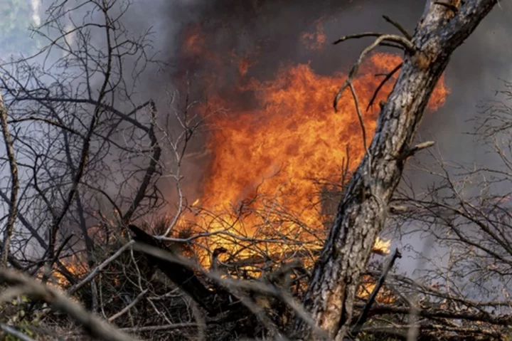 Wildfire on German military training site contaminated with ammunition