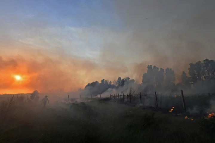 Algeria fires fanned by winds, extreme heat kill 34