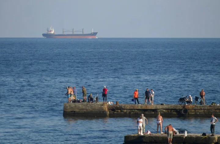 First cargo grain ships arrive in Ukraine through Black Sea using new route