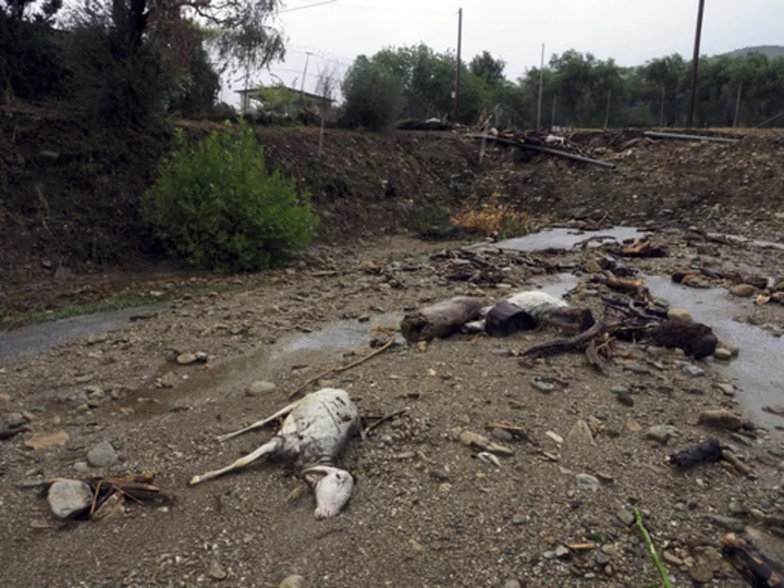 The cost of damage from the record floods in Greece's breadbasket is estimated to be in the billions