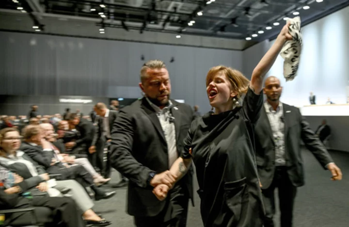 Topless protester briefly disrupts VW annual meeting