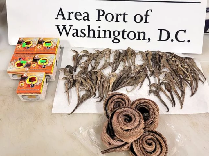 Seahorses, snakes and illegal pork from Vietnam seized by US Customs