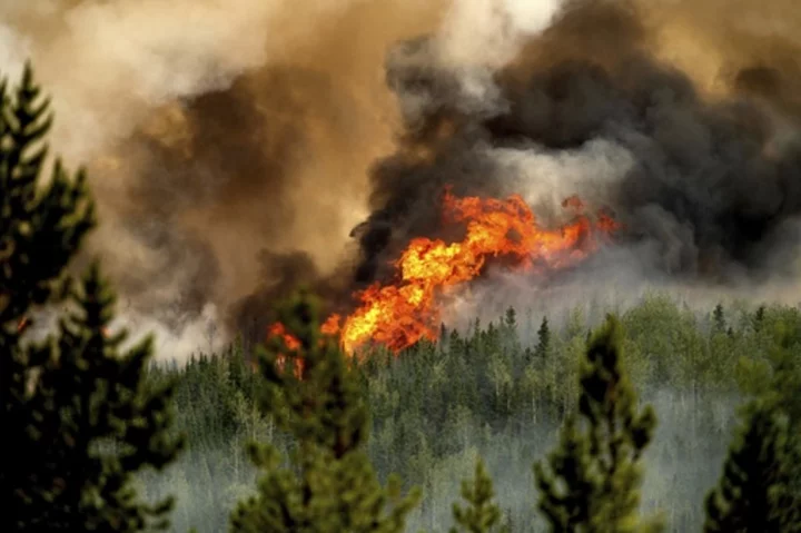 A firefighter has been killed while battling a wildfire in British Columbia, Canada