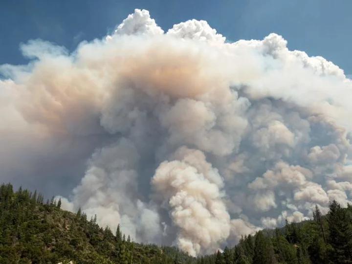 Fire whirls and pyrocumulus clouds: How fire creates its own weather