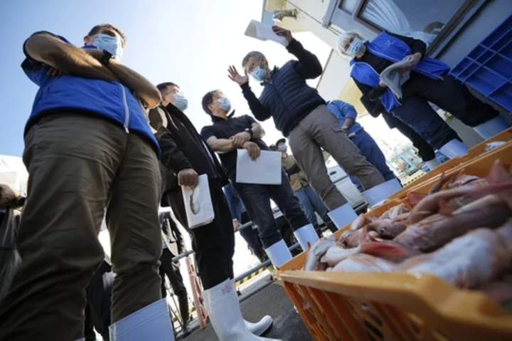 IAEA team gathers marine samples near Fukushima as treated radioactive water is released into sea