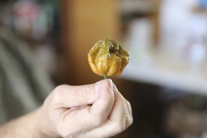 Pepper X marks the spot as South Carolina pepper expert scorches his own Guinness Book heat record