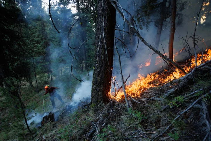 British Columbia Declares Fire Emergency With Thousands Evacuated