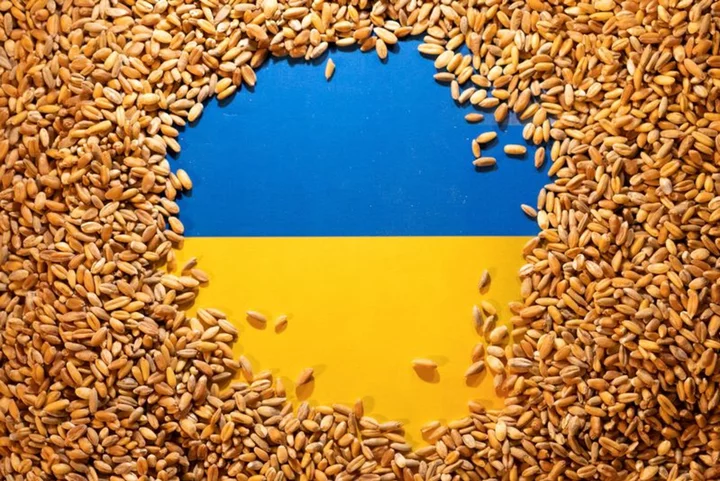 Ukraine may use new Black Sea route for grain shipments - producers