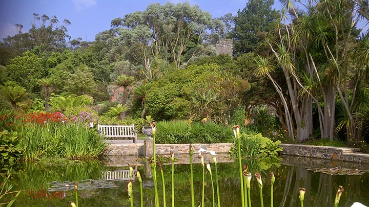 How Logan Botanic Garden helps Vietnam's plant life