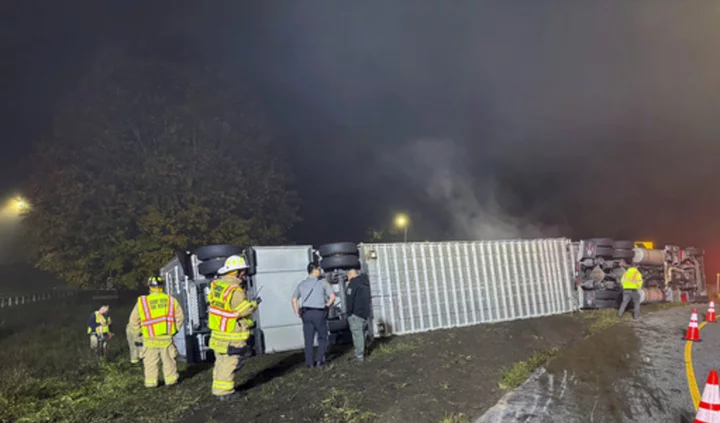 Cows that survived Connecticut truck crash are doing fine, get vet's OK to head on to Ohio