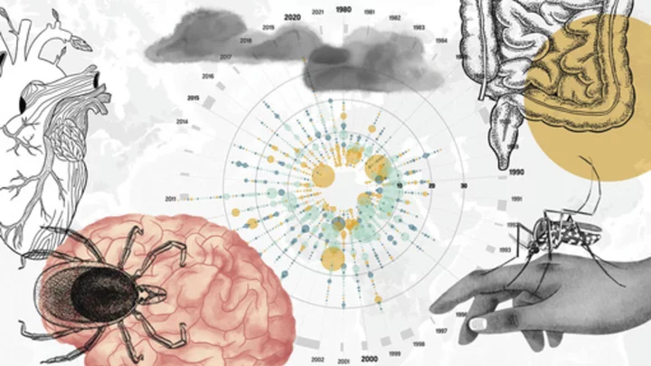 As the planet warms, increasing worry about the impact that may have on infectious diseases