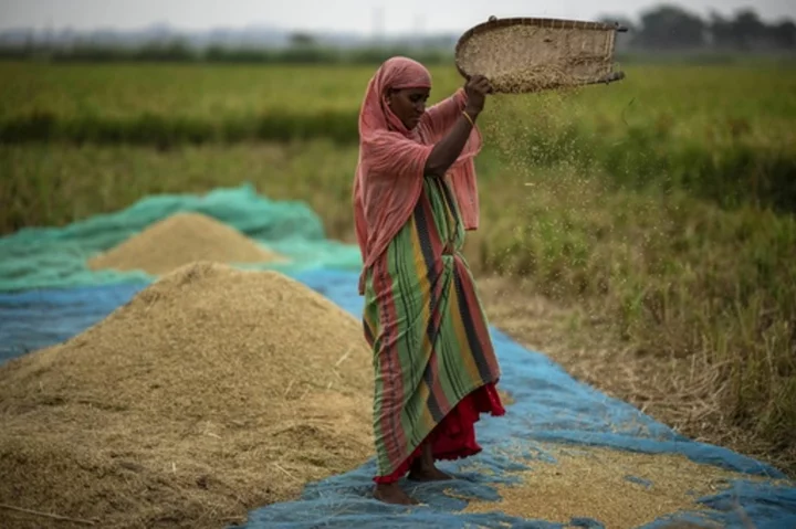 Global food prices rise after Russia ends grain deal and India restricts rice exports