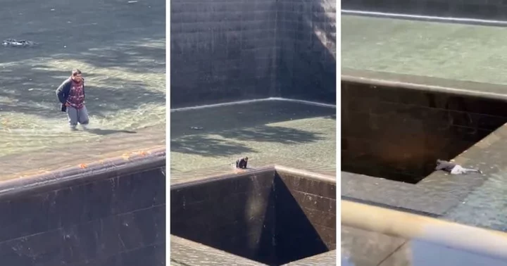 Who is Jeffrey Hernandez? New York man arrested after he jumps into 'central void' of 9/11 Memorial pool