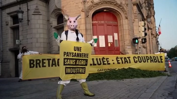 Greenpeace activists dump ton of algae outside French government HQ in factory farm protest