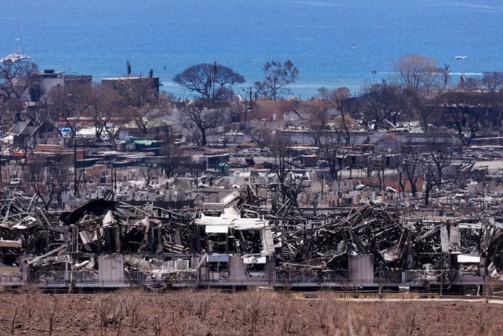 The doctors, dentists and anthropologists striving to identify Maui's victims