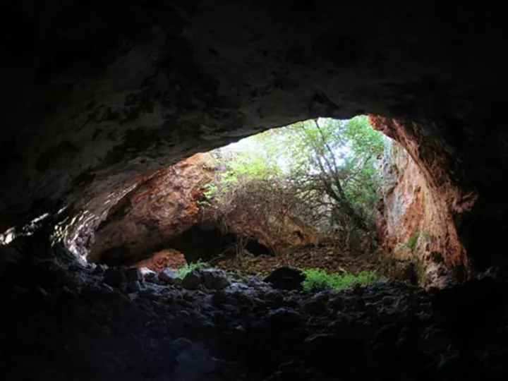 Ancient humans dug up remains of ancestors to use as tools, study suggests