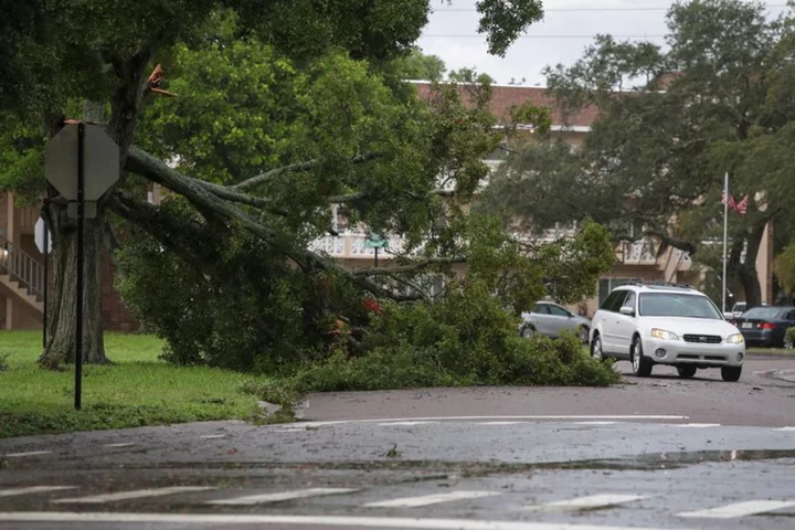 US airlines cancel over 850 flights as Hurricane Idalia makes Florida landfall